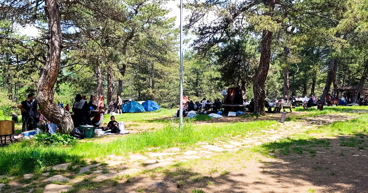 Bilecik’in Saklı Cenneti: Küçükelmalı Tabiat Parkı Doğaseverleri Bekliyor!