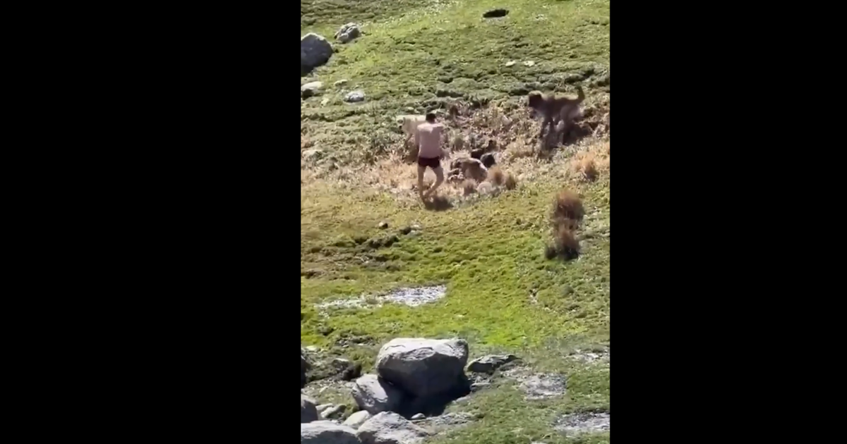 Yüksekova'da Korku Dolu Anlar! Köpek Saldırısına Uğrayan Çocuğu Arkadaşı Son Anda Kurtardı