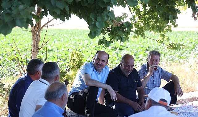 Başkan Altay Altınekin'de Hasat Yaptı