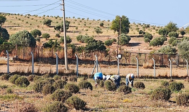 Didim Belediyesi Üretiyor, Didim Güzelleşiyor