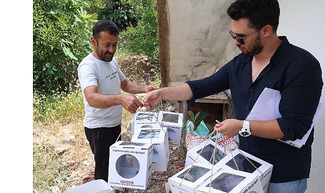 Büyükşehir'den 800 dekar araziye faydalı böcek desteği